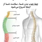 ستون فقرات